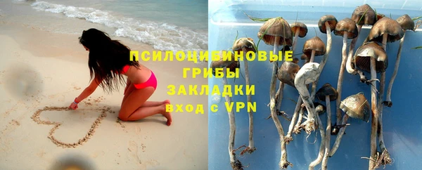 прущая мука Михайлов