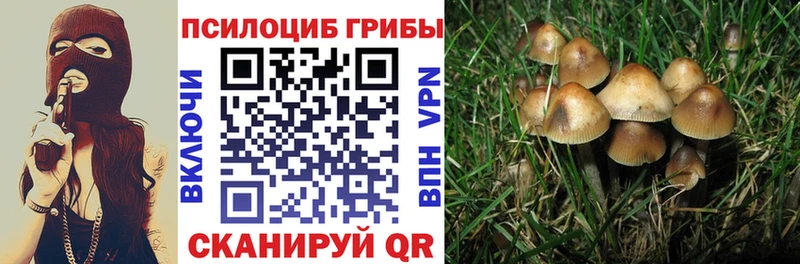 где купить наркоту  Находка  Псилоцибиновые грибы мицелий 