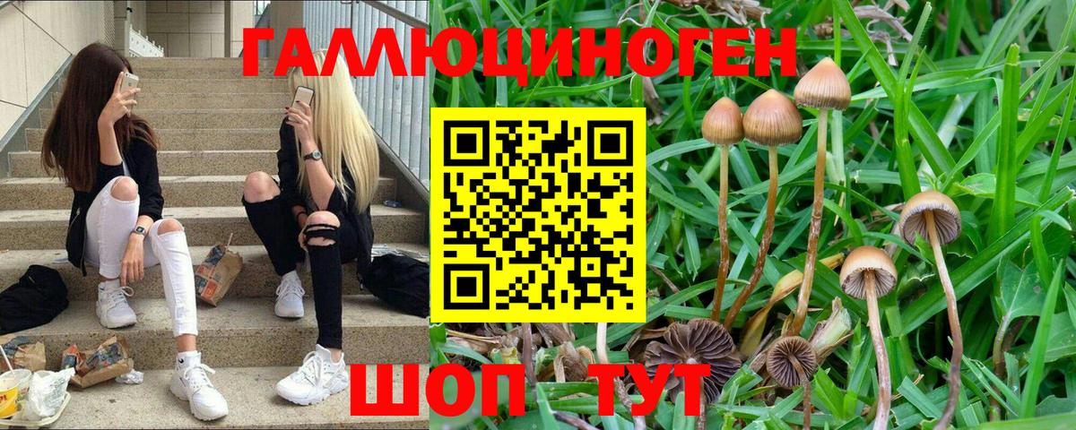 Псилоцибиновые грибы Magic Shrooms Находка